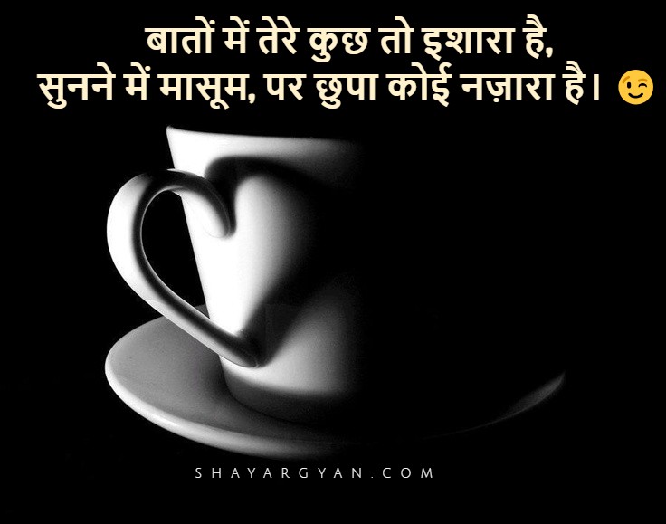 best Double Meaning Shayari 